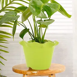 Kuber Industries Green & White 5 Pcs Blossom Flower Planters-37
