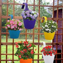 Kuber Industries Orange 4 Pcs Single Hook Plant Container Pots-58