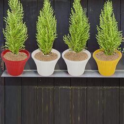 Kuber Industries Yellow 3 Pieces Sunshine Planters-33