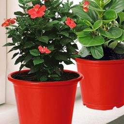 Kuber Industries Set Of 4 Planters-40