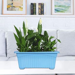 Kuber Industries Pack of 4 Blue Rectangular Jupiter Plastic Planters-19