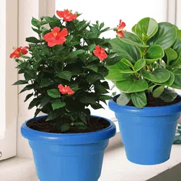 Kuber Industries Pack of 5 Blue Solid Layered Plastic Flower Pot With Drainage Hole-78