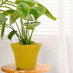 Kuber Industries Yellow 4 Pcs Sunshine Planters-32
