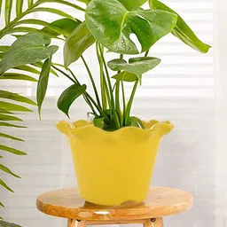 Kuber Industries Blue & Yellow 2 Pieces Blossom Planters-image-56