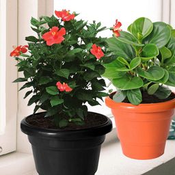 Kuber Industries Set Of 8 Solid Large Flower Planters With Drainage Hole-28