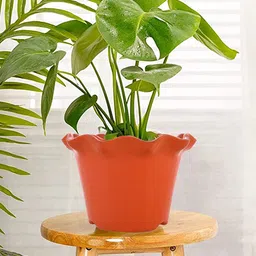 Kuber Industries Orange 5 Pieces Blossom Planters-45