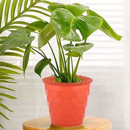 Kuber Industries Orange 3 Pcs Brick Flower  Planters-8