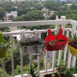 Kuber Industries Red & Yellow 2 Pcs Double Hook Planters-13