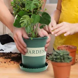 Kuber Industries Green Plant Pot With Tray-92