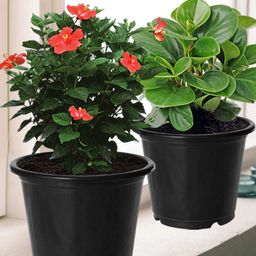 Kuber Industries Black 3 Pcs Flower Planters-26