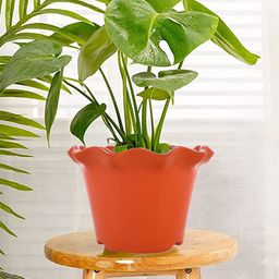 Kuber Industries Orange & Yellow 2 Pieces Blossom Planters-12