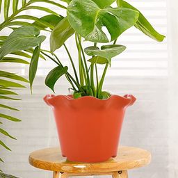 Kuber Industries Orange & Green 3 Pcs Blossom Flower Pots-1