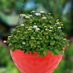 Kuber Industries Red 2 Pcs Diamond Textured Hanging Flower Pots-1