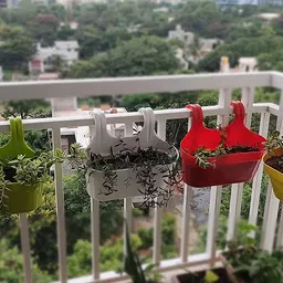 Kuber Industries White 4 Pieces Double Hook Planters-28