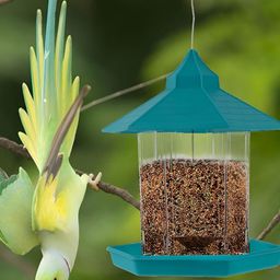 Kuber Industries Green Bird Feeder Hut Shape With Hanging Wire For Balcony Grill-27