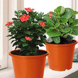 Kuber Industries Set Of 4 Orange Solid Large Flower Planters With Drainage Hole-14