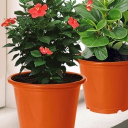 Kuber Industries Orange 5 Pcs Flower Planters With Drain Holes-94