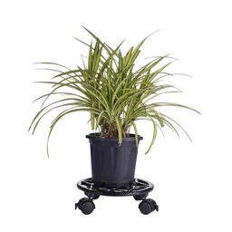 Sharpex Set of 2 Black Self Design Metal Plant Stands-picture-46