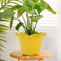 Kuber Industries Set Of 2 Planters-54