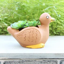 Wonderland Brown Terracotta Duck Pot-28