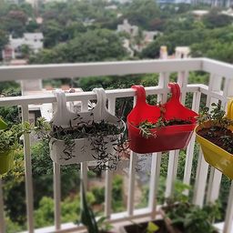 Kuber Industries Set Of 3 Hook Planters-7