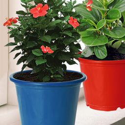 Kuber Industries Green & Blue3 Pcs Flower Planters-43