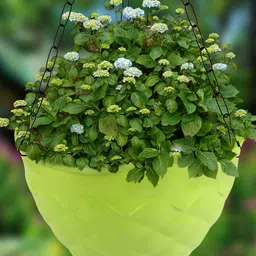 Kuber Industries Green 3 Pcs Diamond Textured Hanging Flower Pots-6