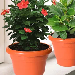 Kuber Industries Orange 4 Pieces 2 Layered Planters-21