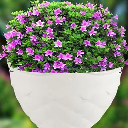 Kuber Industries White 2 Pieces Textured Planters With Chain-3
