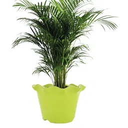 Kuber Industries Orange & Green 3 Pcs Blossom Flower Pots image 2