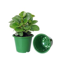 Kuber Industries Set Of 3 Planters image 4