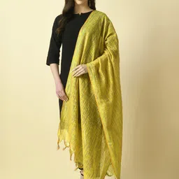 Livvie Abstract Woven Design Cotton Silk Dupatta-34