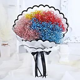 Womens Day Gypsophila Blossoms-image-19