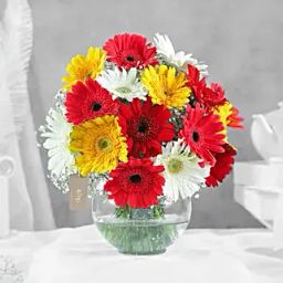 Classy Mix Of Gerbera Blossoms-39