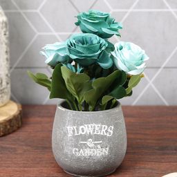 TIED RIBBONS Teal Green Rose Rose Artificial Flowers and Plants With Pot-12