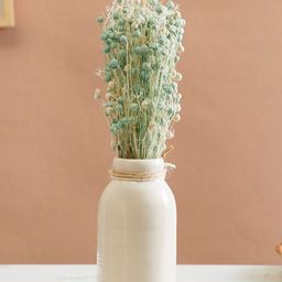 Home Centre Corsica Eden Tishi Artificial Flower with Ceramic Pot-26