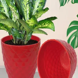 Kuber Industries Red & Green 5 Pieces Planter Pots-19