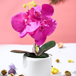 MARKET99 Pink & White Artificial Flowers With Lightgreen Pot-picture-18