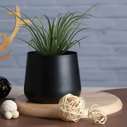 Homspurts Black Petite Blooms Planter-picture-33