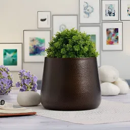 Homspurts Brown Textured Eco Friendly Petite Blooms Planter-image-65