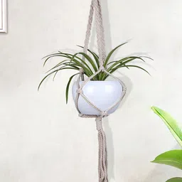 Homesake White Hanging Planter With Pot-image-28