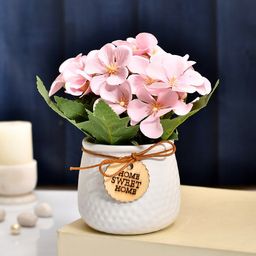 TAYHAA White & Pink Blossom Flower Bunch With Ceramic Pot-picture-40