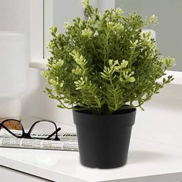 Kuber Industries Green & Black Variegated Arrowhead Vine Artificial Plant With Pot-98