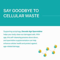 Decode Age Spermidine, 60 tablet(s) image 4
