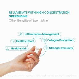 Decode Age Spermidine, 60 tablet(s) image 3