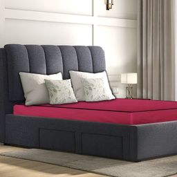 Stylista Maroon Cotton Water Resistant Elastic Strap Mattress Protector-image-5