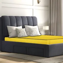Stylista Yellow Cotton Water Resistant Elastic Strap Queen Mattress Protector-image-81