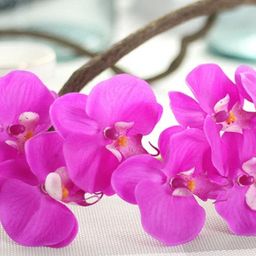TIED RIBBONS Set of 3 Artificial Orchid Flower Sticks Without Vase image 3