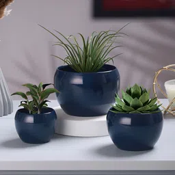 Homspurts Blue 3 Pieces Table Top Planters-57