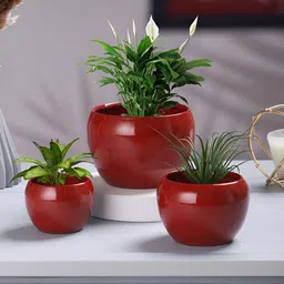 Homspurts Red 3 Pieces Table Top Planters-2
